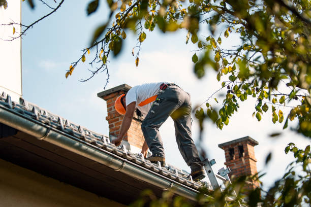 Best Roof Gutter Cleaning  in Morris, AL