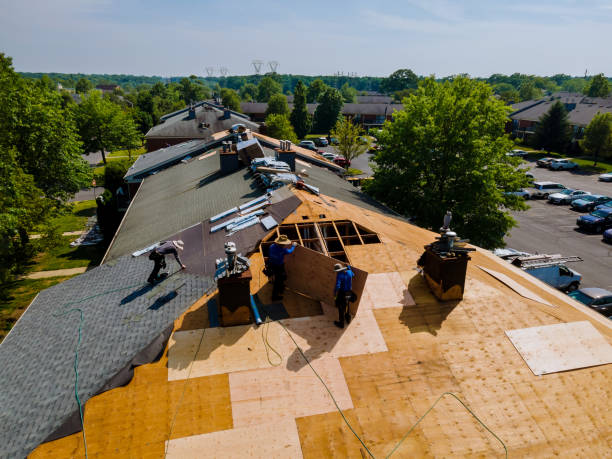 Best Commercial Roof Installation  in Morris, AL